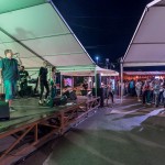 Na Festivalu DOK - festivalu za ljude dobre volje - u Kamanju je 10. 9. 2016. nastupio zagrebački sastav Elemental. Foto: Denis Stošić